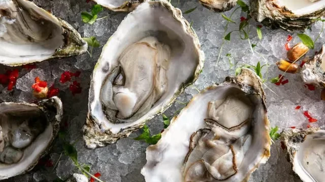 Oysters, Bubbles & Live DJ