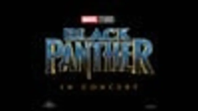 Black Panther In Concert