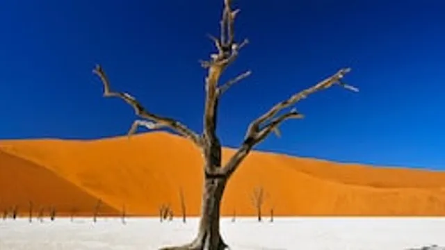 PLANETVIEW präsentiert: Namibia & Botswana