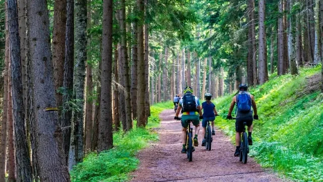 Pro Senectute: E-Mountainbike