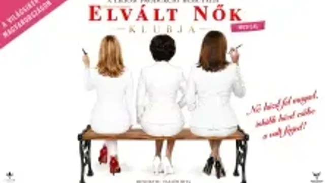 Elvált nők klubja - musical