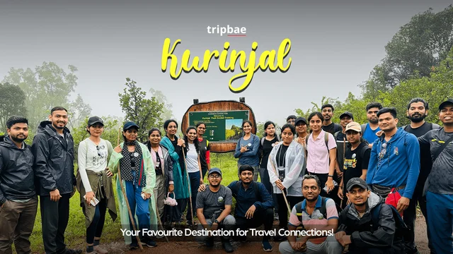 Kurinjal Peak Trek by Tripbae