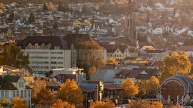 Herbstzauber: Stadtgeschichte(n), Zwiebelkuchen & Neuer Wein