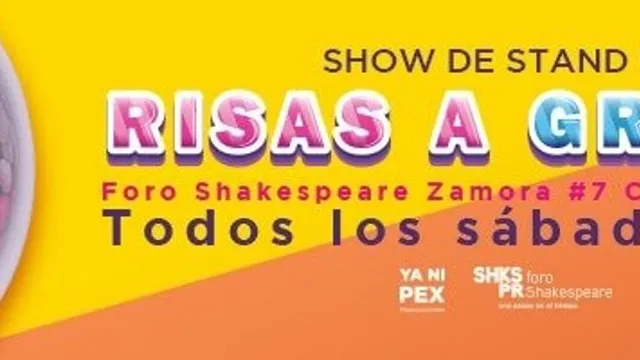 Risas a granel Stand up