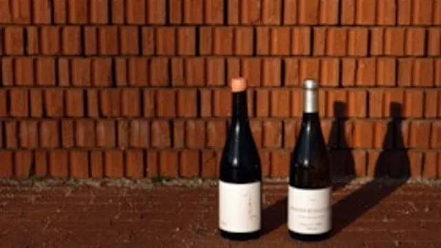 Architektur & Wein - Winter Edition (DE)