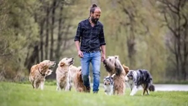 Sami El Ayachi - Der zugewandte Hund!