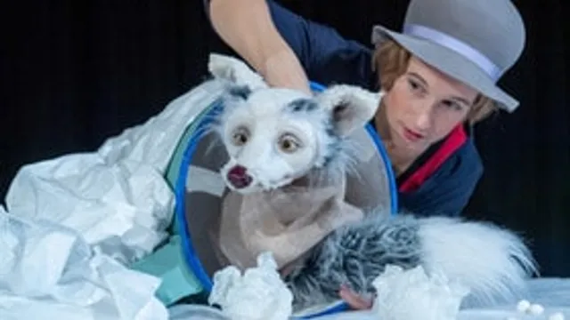 Lichtgestöber Schneegefunkel