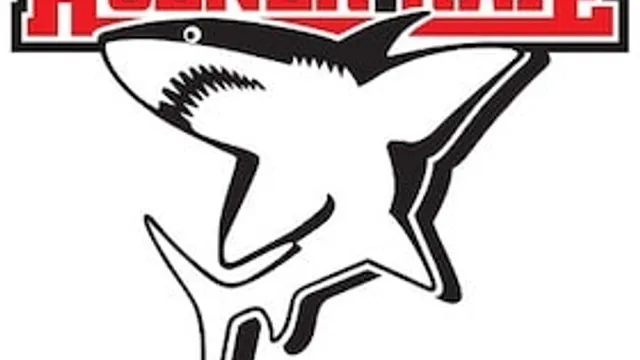 Schwenninger Wild Wings - Kölner Haie