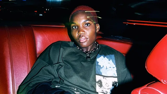 Arlo Parks - DESIRE TOUR