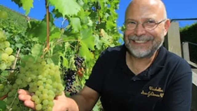 Kleine Weinbergwanderung - mit moderierter 4-Weinprobe durch die Radebeuler Weinberge für 3h