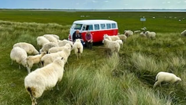 Bulli Abenteuer - 360° Deutschland