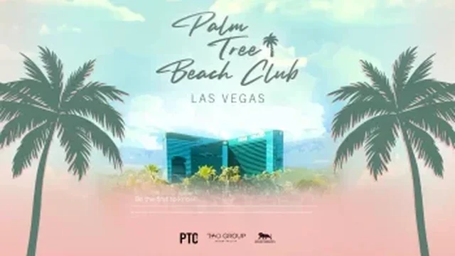 Palm Tree Beachclub Las Vegas – Your Ultimate Daylife Destination
