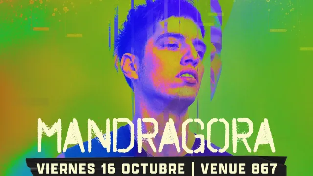 Mandragora en Monterrey