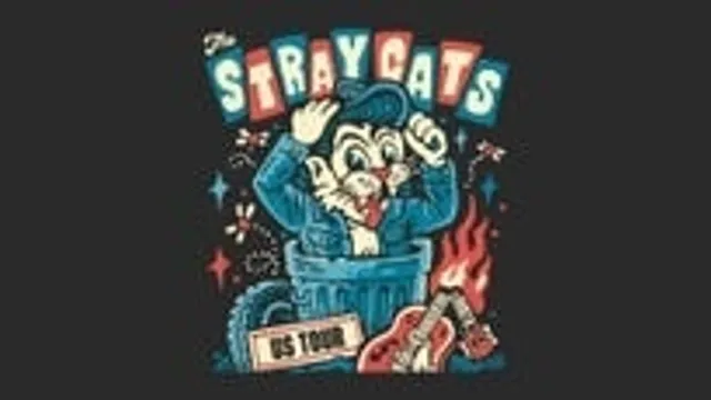 THE STRAY CATS