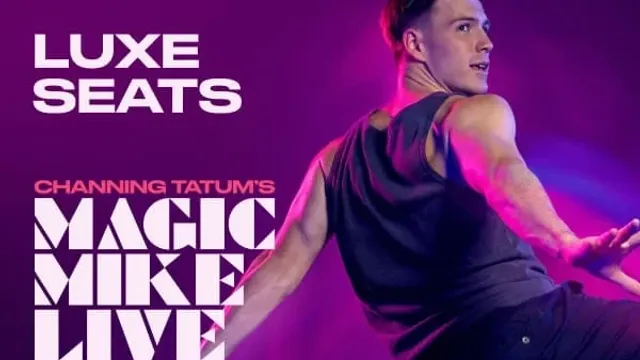 Magic Mike Live VIP Luxe
