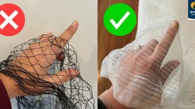 MERRI-BEK RESIDENTS ONLY - Fruit Tree Net Swap (at Mulberry Community Garden spring festival)