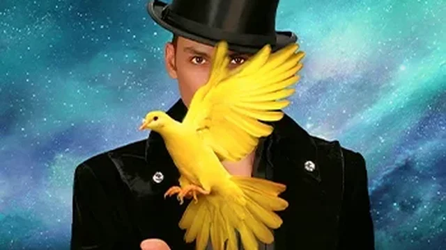 Allstars of Magic