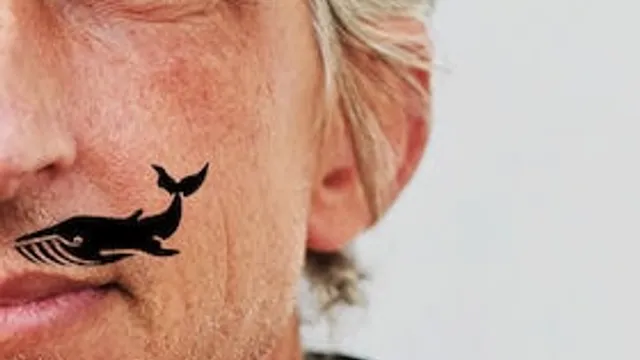 William Wahl - wahlweise