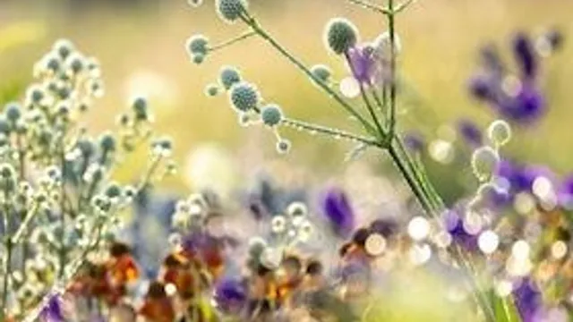 Der Foto-Workshop im Oktober