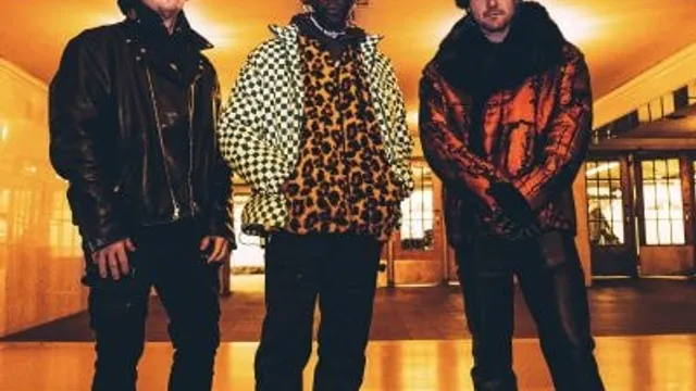 Too Many Zooz