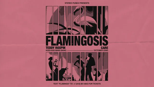 Stereo Punks presents Flamingosis