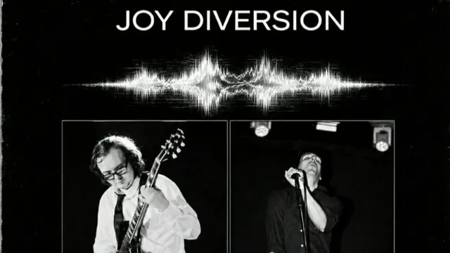 JOY DIVERSION