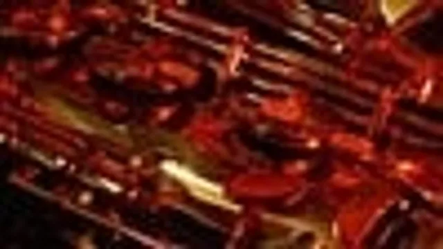 Sol & the Gang
