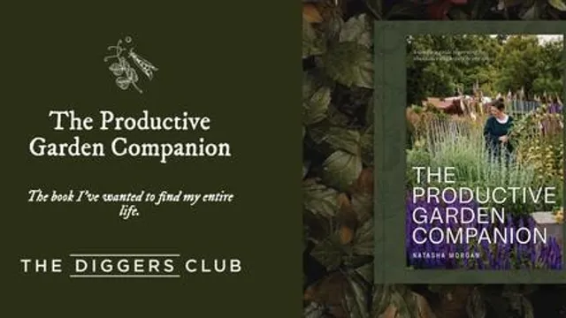 Natasha Morgan's 'The Productive Garden Companion' - Book Launch at Cloudehill