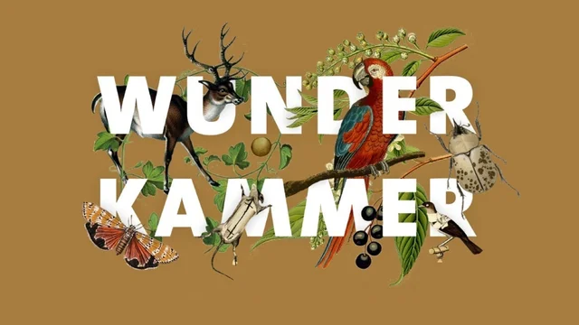 Wunderkammer: A Taxidermy Showcase and Competition