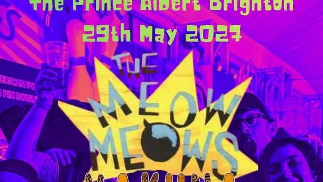 Meow Meows, Hakuna Pesa + Family of Strangers