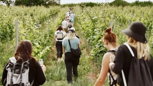Weinwanderung: Herbstgenusstour mit Weinprobe – Wenn die Pfalz nach Sonne schmeckt