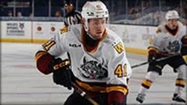 Chicago Wolves V San Jose Barracuda