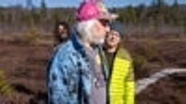 Dinosaur Jr. - Fall Tour 2026 with special guest Stef Chura