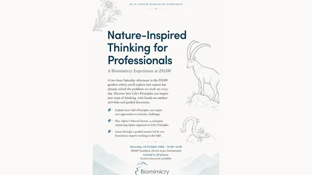 A Biomimicry Experience at ZHAW - Nature-inspired thinking
