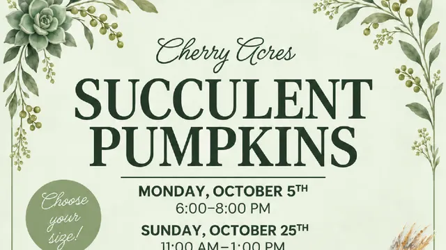 Succulent Pumpkins at Cherry Acres