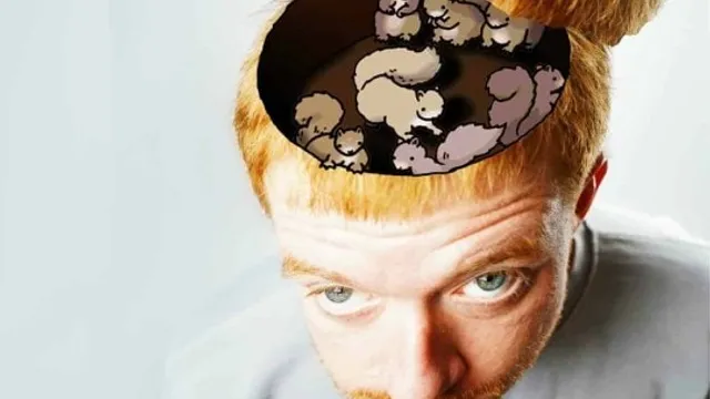 Alex Ayres: "Ardillas en mi Cabeza"