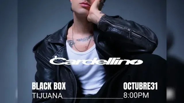 Cardellino en Tijuana