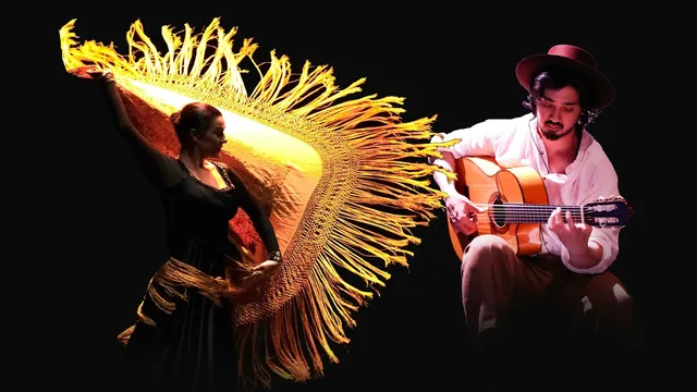 FLAMENCODANZA