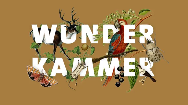 Wunderkammer: A Taxidermy Showcase and Competition