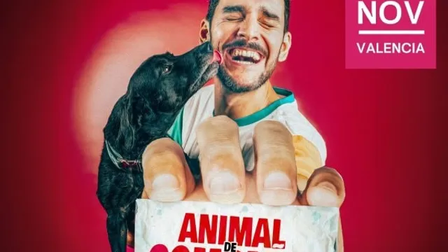 JORGE BOLAÑOS - Animal de compañia