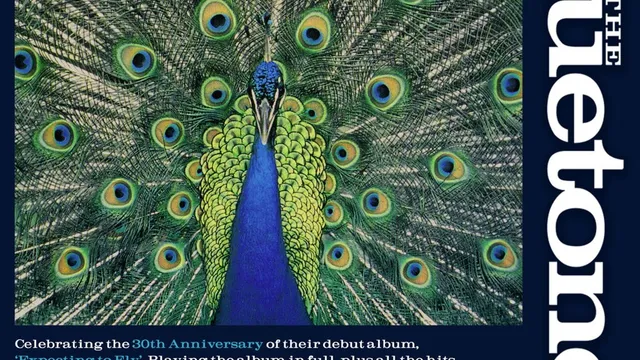 The Bluetones