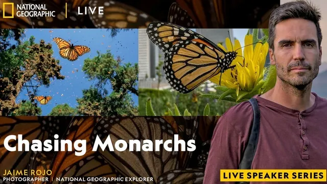 National Geographic Live: Chasing Monarchs