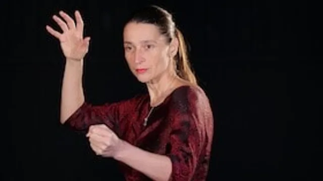 Christine Lander – SPURLOS