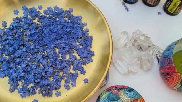 Therapeutic Candle Alchemy: Crystals, Botanicals & doTERRA Oils