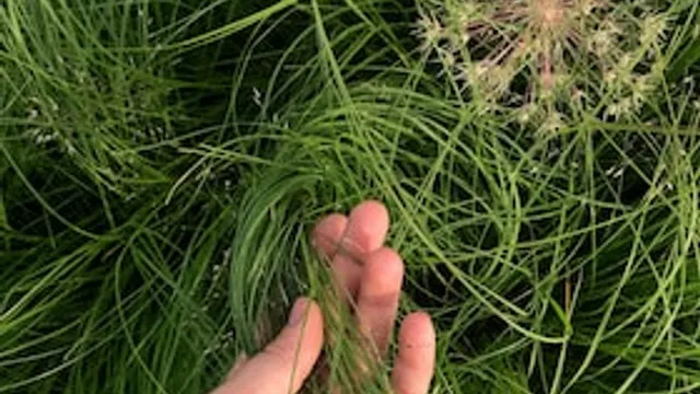 Designing with Nature (DE)