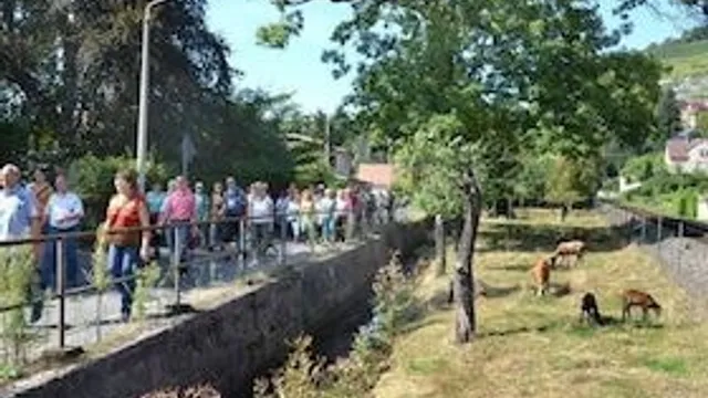Exklusive Weinwanderung mit Speis und Trank - Exklusive kulinarische Weinführung mit moderierter 6er- Weinprobe für 5h