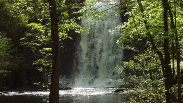 Tranquility Trail Run