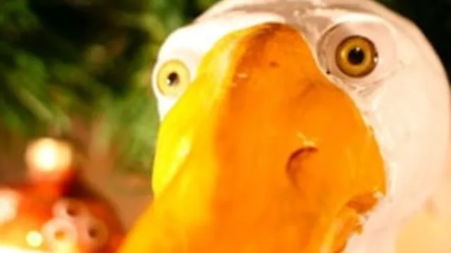 Die Weihnachtsgans Auguste