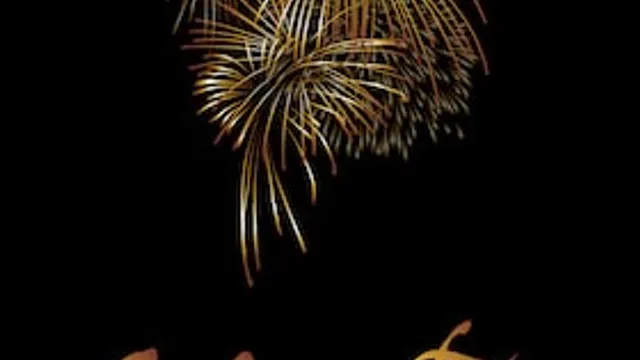 Silvester a la Carte