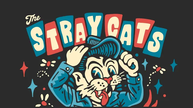 THE STRAY CATS